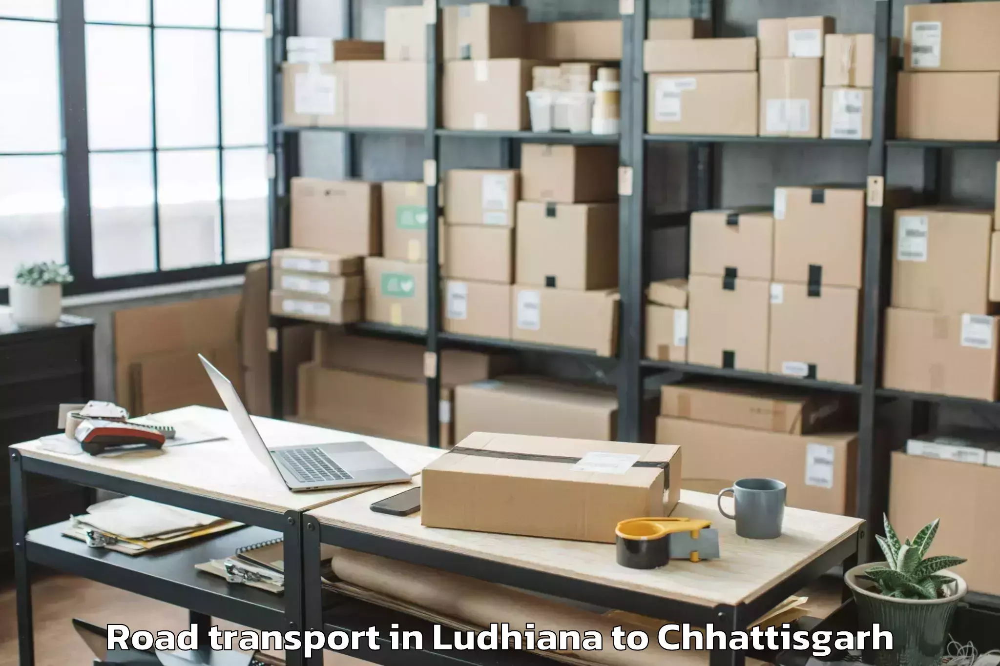 Efficient Ludhiana to Kalinga University Raipur Road Transport